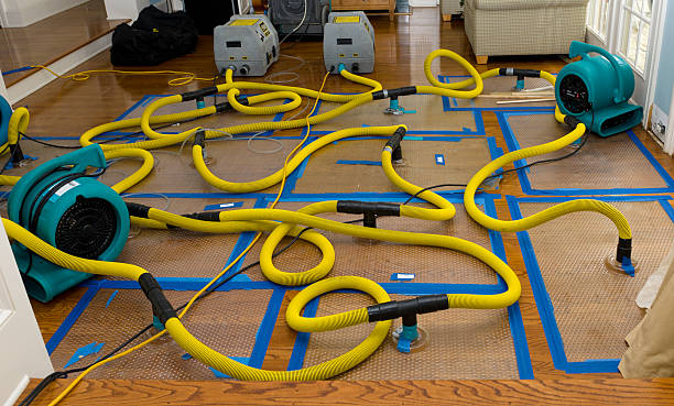 Professional Water Damage Restoration technician working in Stevenson, MD